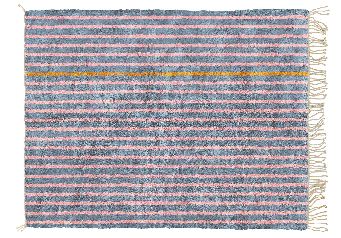 Immagine diapositiva